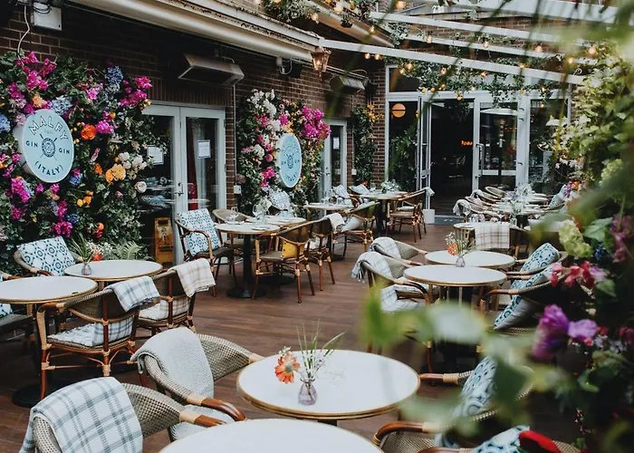 Iveagh Garden דבלין