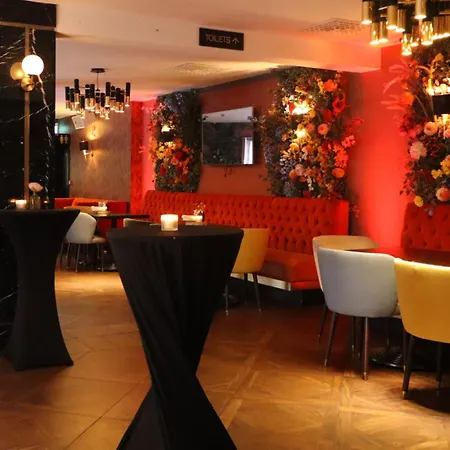 艾维花园酒店 都柏林