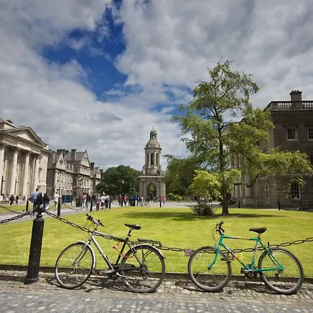 酒店 艾维花园酒店 4*