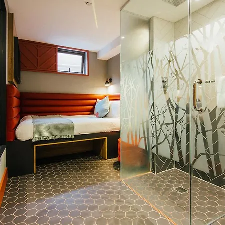 Otel Iveagh Garden Dublin