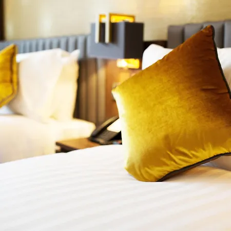 Iveagh Garden 4* Dublin
