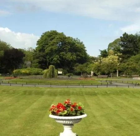 Iveagh Garden Dublin