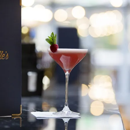 艾维花园酒店 都柏林